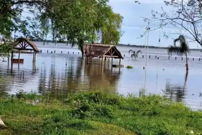 La crecida de los ríos ya obliga a mover 500.000 cabezas de ganado y pone en jaque al arroz