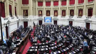 El Congreso vuelve a escena: la oposición juega su carta por discapacidad y deudas