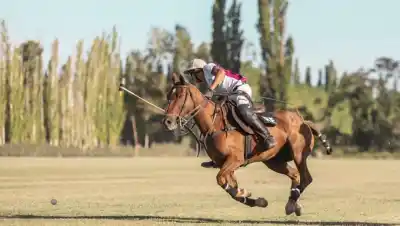 El deporte que se juega con 14 caballos por partido y tiene a la Patagonia como nueva cancha