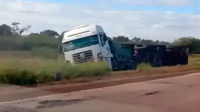 Un camión volcó en la ruta y lo que encontraron en la carga dejó en alerta a los testigos