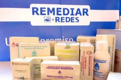 Vergara le apuntó al cierre del Remediar: "Es la salud de miles de personas"