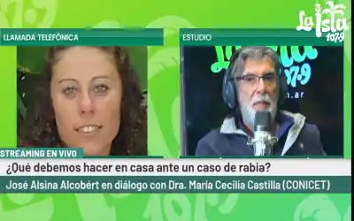 Apareció un murciélago con rabia en la Capital: qué dicen los expertos sobre el riesgo real