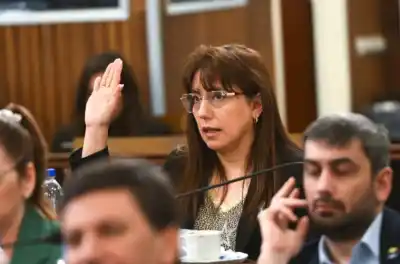 Gladys Domínguez pidió suspender las PASO y dejó una pregunta que incomoda