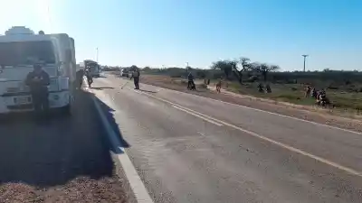 Un camión cargado de carne volcó en la ruta: lo que encontraron en el lugar dejó en evidencia un grave problema