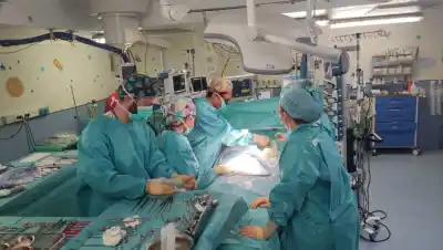 El hallazgo del biólogo barilochense que cambió el futuro de los trasplantes de intestino