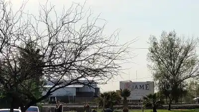 Sarmiento lanza un plan para que no falte sombra: mirá los árboles que podés pedir para tu vereda