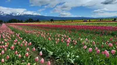 Tres vuelos, 450 pasajeros y una apertura que ya tiene fecha en la cordillera