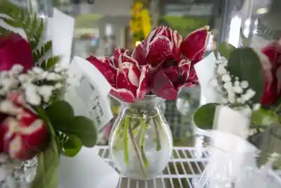 Una florería de Neuquén hizo historia con las flores que llegaron desde Huinganco