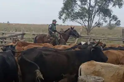 El cruce que expone la grieta en el campo correntino: 400.000 hectáreas abandonadas, según una productora