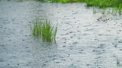Lluvias en Tucumán: el pronóstico que anticipa un fin de semana pasado por agua