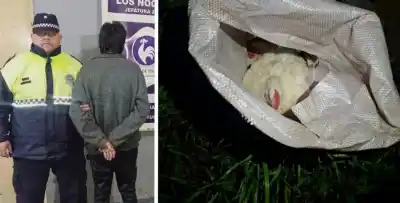 El machete que llevaban escondido no alcanzó: los cuidadores los esperaban adentro