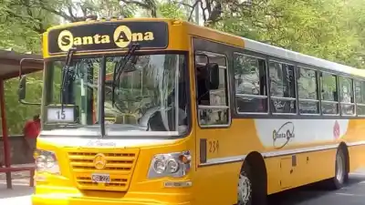 Los colectivos que van a Los Huaicos cambian de camino: qué líneas y por dónde pasan ahora