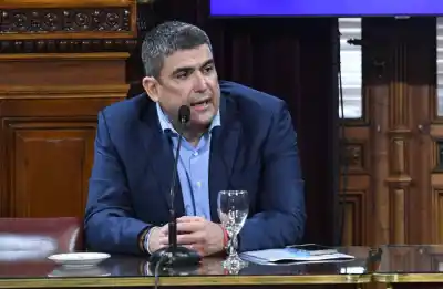 El Senado tiene frenado un proyecto clave y el senador Bensusán advirtió que puede perder estado parlamentario