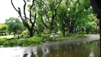 El Niño en Rosario: por qué las consultas por seguros contra inundaciones no paran de crecer