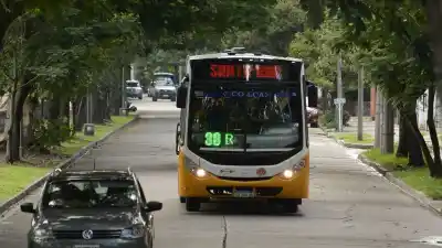 Siete colectivos cambian de recorrido en Jujuy: qué líneas y por dónde pasan ahora