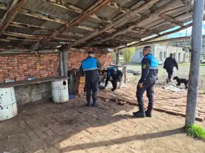 Allanaron un campo en Chubut y adentro había algo que nadie esperaba encontrar