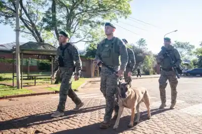 Misiones bajó los delitos contra la propiedad: el informe que la ubica entre las mejores del país
