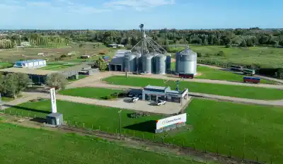 De vender ajo y cebolla a manejar 200.000 hectáreas: el imperio que nació en Tandil