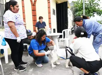 Vecinos de Los Reartes tienen una sola chance este año para vacunar a sus mascotas gratis