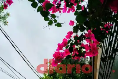 Santiago del Estero amaneció con 17,8º y el SMN ya marcó en qué franja del día se largaría