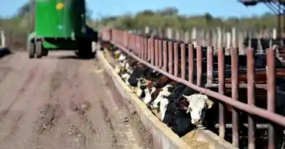 Mendoza guardará semen y embriones de vacas y cabras: el motivo que pocos conocen
