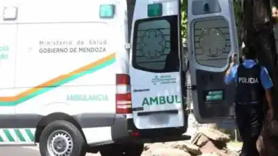 Mendoza: su papá retrocedía la camioneta en la chacra y el nene de 5 años cayó de la caja