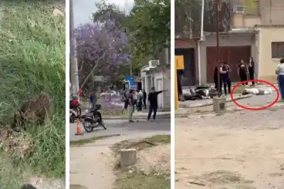 Iba en moto con una joven y un poste les cayó encima: la escena que quedó filmada