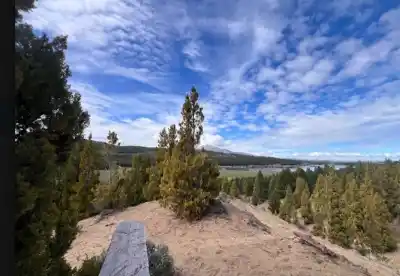 El sendero de 3 km en Esquel que esconde un bosque único de la Patagonia