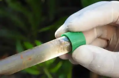 El calor no perdona: el mosquito del dengue ya está en el 11% de estos barrios de Posadas