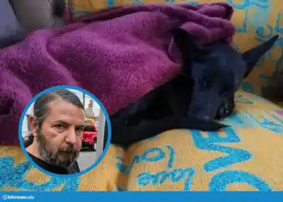 Pidió internación para su cuñado varias veces: lo que le respondieron antes de que matara a su perra