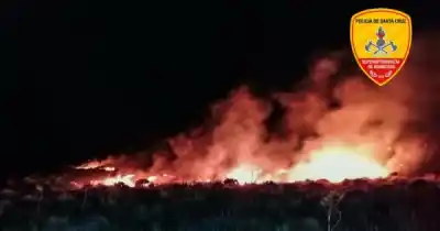 Bomberos frenaron dos focos de fuego en Isla Fea: qué hacía el encargado del predio