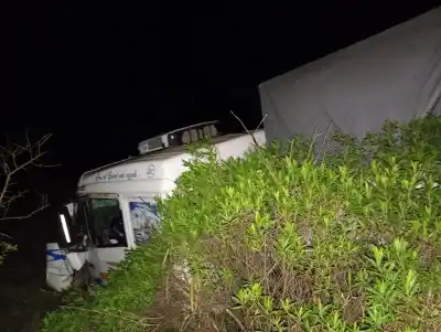 Iban cargados de trigo y soja por la Ruta 16: lo que quedó sobre el asfalto tras el choque