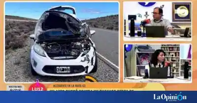 Iban de Chile Chico a Caleta Olivia y el guanaco apareció en medio de la ruta 43