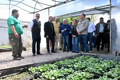 Sol Puntano cambia de piel: el plan que Poggi quiere llevar de la quinta al negocio