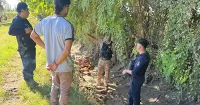 Encontraron sus yeguas en el campo y lo que vieron los dejó sin palabras