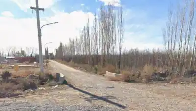 La árbitra iba a dirigir el sábado: en el camino, un poste de luz cambió todo