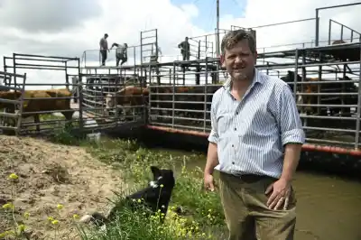 El agua les tapa los campos en 15 días y hay 400.000 vacas en juego