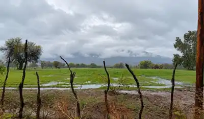 Jáchal: 84 vecinos debieron dejar sus casas por la lluvia y hay un grupo que preocupa