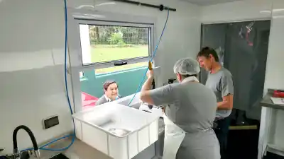 En Apóstoles crían peces en estanques y ahora los venden limpios: quién es el productor que dio el paso
