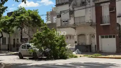 Esperaba el semáforo en pleno centro de Santa Fe y el techo le quedó bajo un árbol