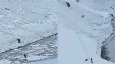 La advertencia que ignoraron antes de la avalancha en Portillo: cuatro muertos