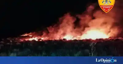 Trabajaban la tierra en Isla Fea y las llamas aparecieron de noche: dos focos en las pasturas