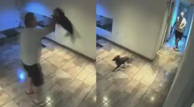 Vecinos grabaron lo que hizo con su mascota en el hall del edificio: ahora la Justicia investiga