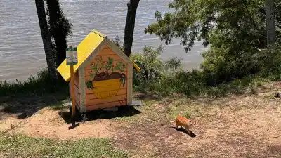 La Costanera se queda sin sus gatos: el río ya les llegó a las casitas