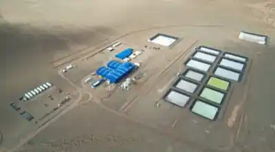 El producto que Salta casi no pesa en toneladas y hoy le deja miles de millones