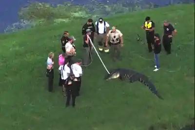 Pescaba tranquilo en la orilla: lo que salió del lago le costó la vida