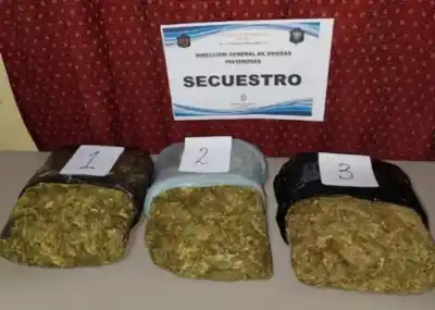 Llamado de auxilio en Güemes: las hornallas prendidas y lo que había sobre la cama