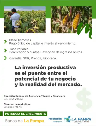 La Pampa tiene $55.000 millones para el campo: quiénes pueden acceder y cuánto piden