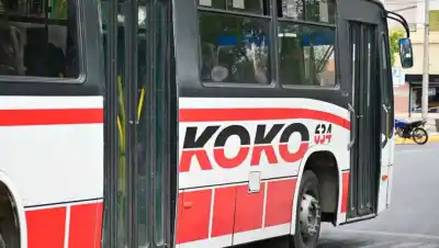 Koko aplicó una suba en el Valle Medio: el pasaje que más castiga al bolsillo de los vecinos