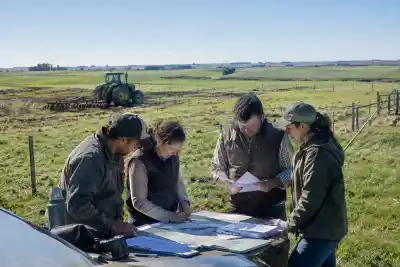 La Pampa habilitó una excepción de cinco años para dividir campos: a quiénes alcanza